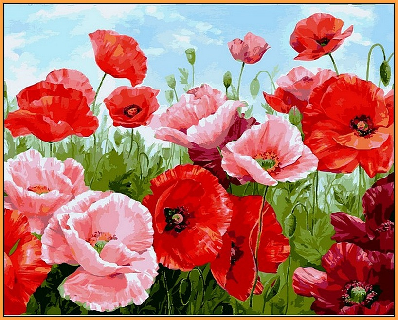 

Картина по номерам DIY Babylon Premium Алые маки 40 х 50 см (NB1111R) (182304)