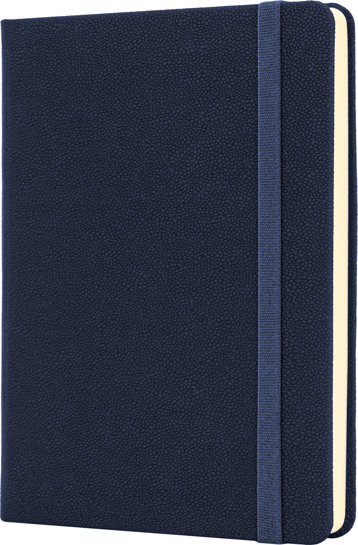 

Деловая записная книга Optima Namib A6 128 л Синяя (O20387-02)