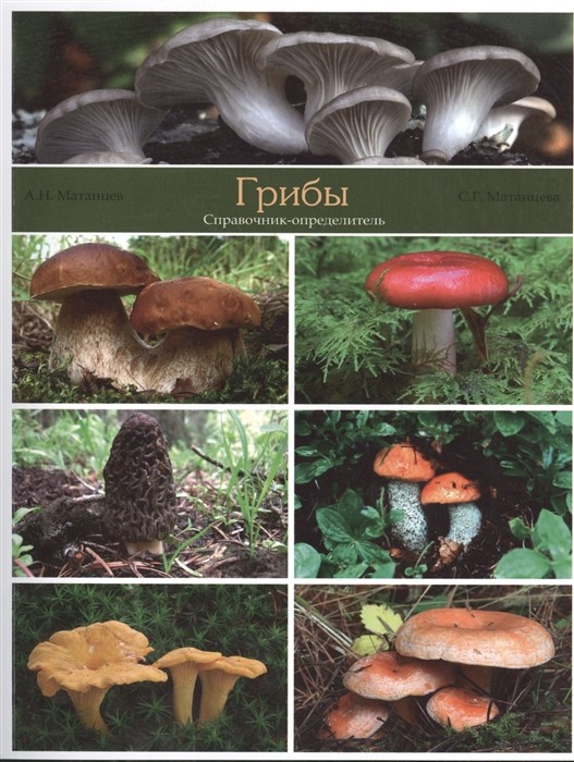 

Грибы. Справочник-определитель (18342021)