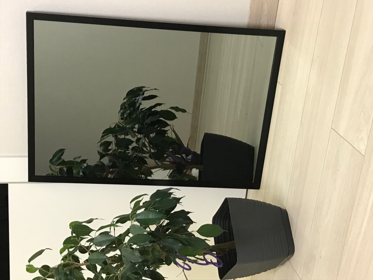 

Зеркало в алюминиевой раме StolicaMebel vertical silver 100х50 см Черный