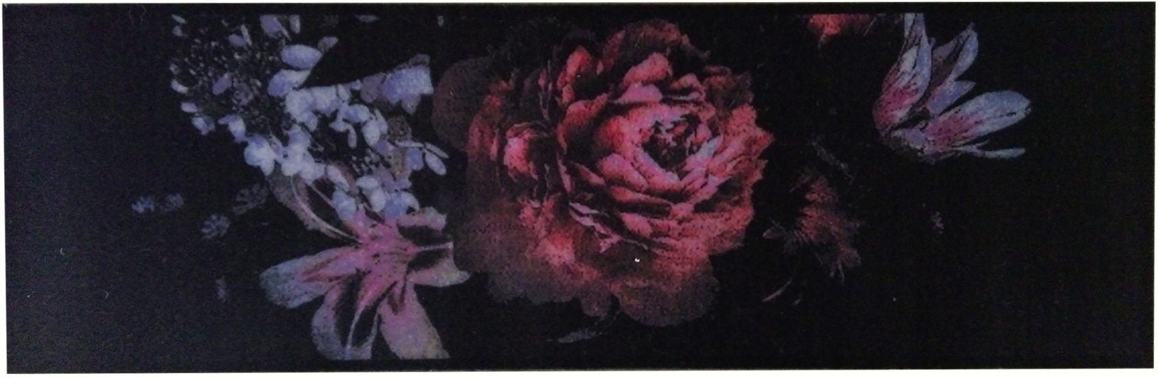 

Ковер для кухни IzziHome Cooky Black Rose 50 x 125