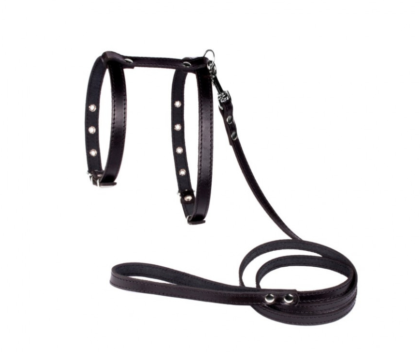 

Шлейка и поводок для небольших собак Lockdog S (16-29 см) (zoo0000527) Черный