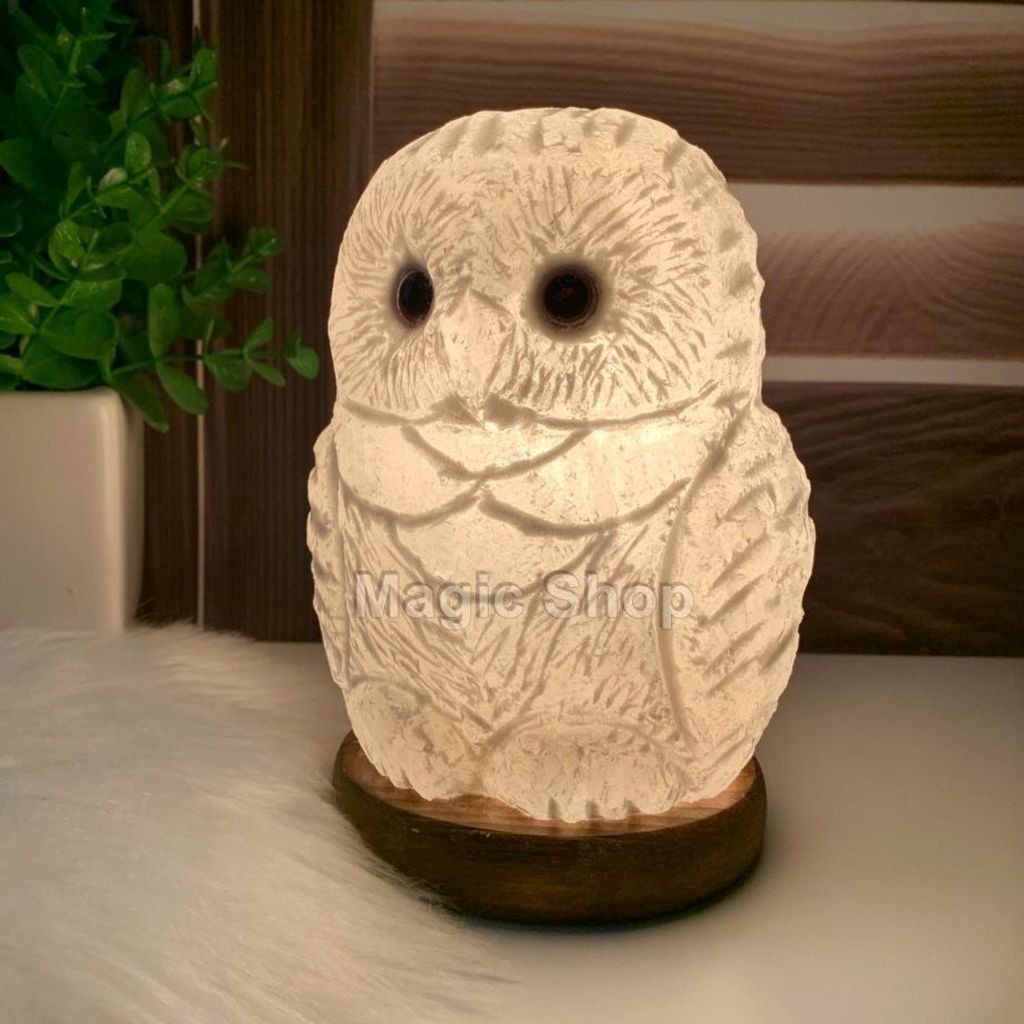 

Соляная лампа- Ночник HealthLamp Совенок с регулятором яркости в Подарочной упаковке