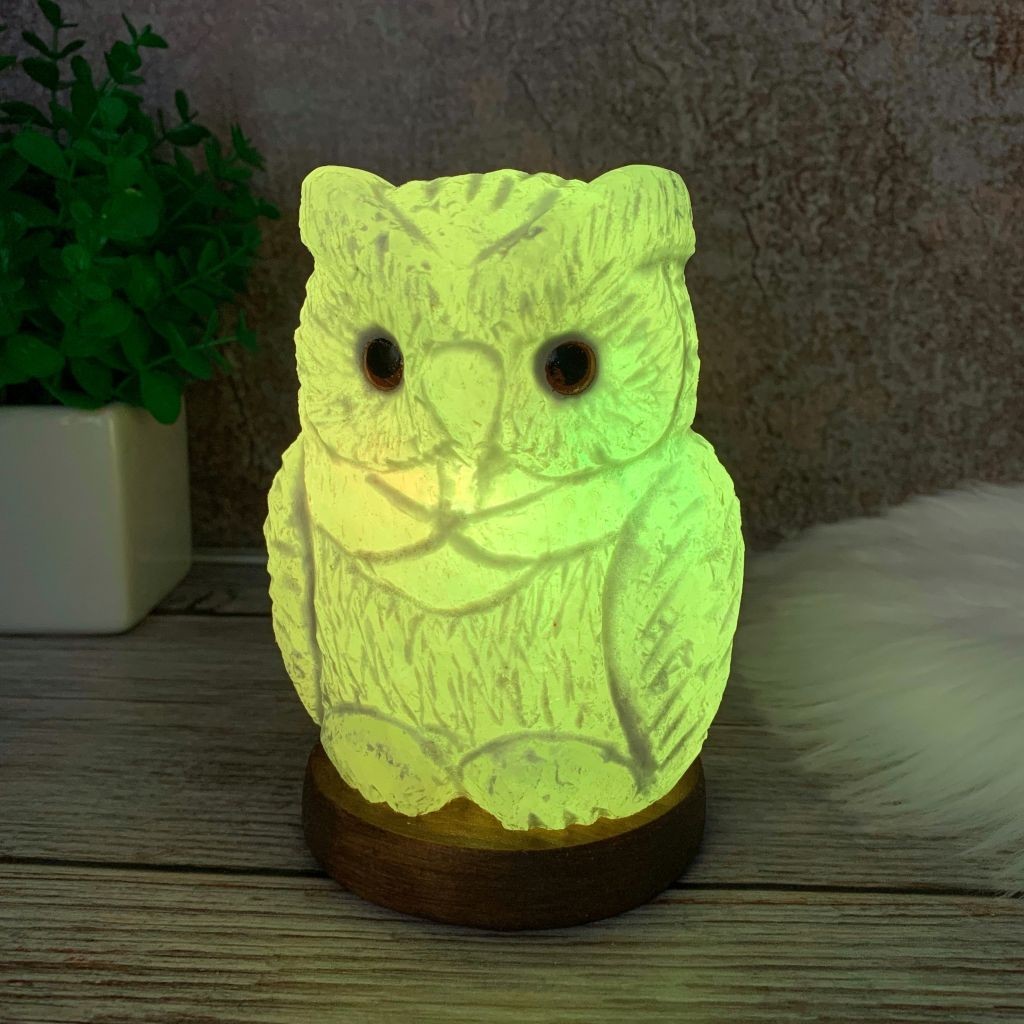 

Соляная лампа- Ночник HealthLamp Филин Зеленый с регулятором яркости в Подарочной упаковке