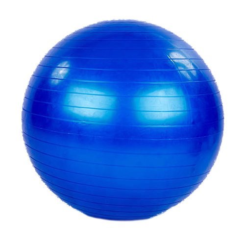 

Мяч для фитнеса (фитбол) FI-1980 Zelart 65см Темно-синий (56363049)