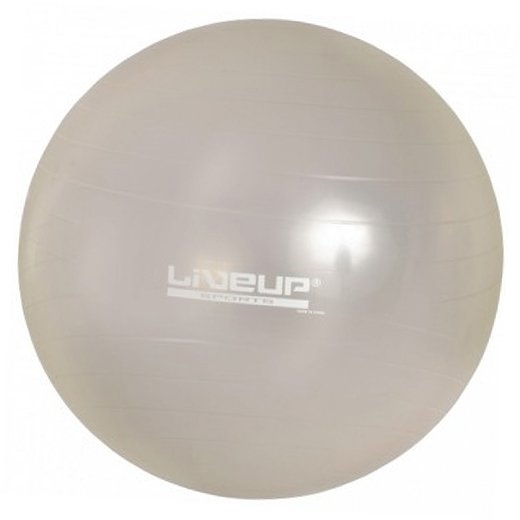 

LiveUp Фитбол Gym Ball LS3221 75см Серый (56396086)