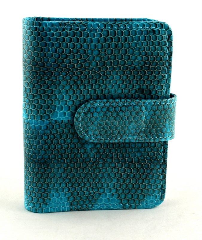 

Визитница из кожи змеи (N-811Turquoise) зеленый