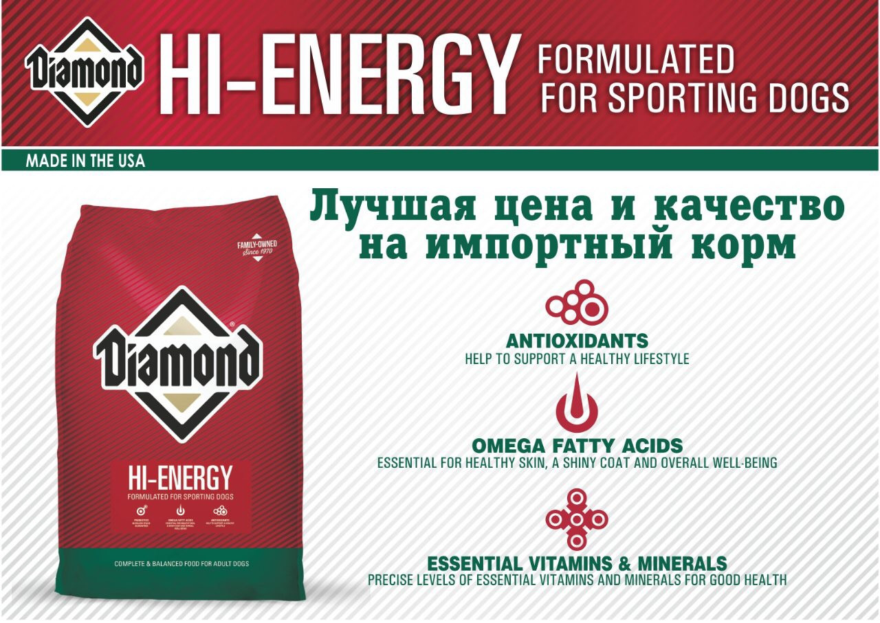 Diamond Hi Energy Sporting 10 442x10