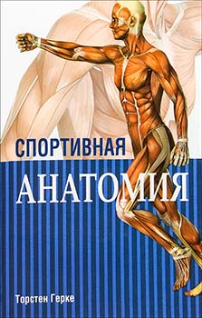 

Спортивная анатомия