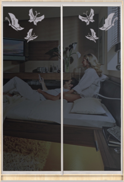 

Шкаф купе Luxe Studio Стандарт-2 Тонированное зеркало с Пескоструем-7 2000x2100x600 двухдверный