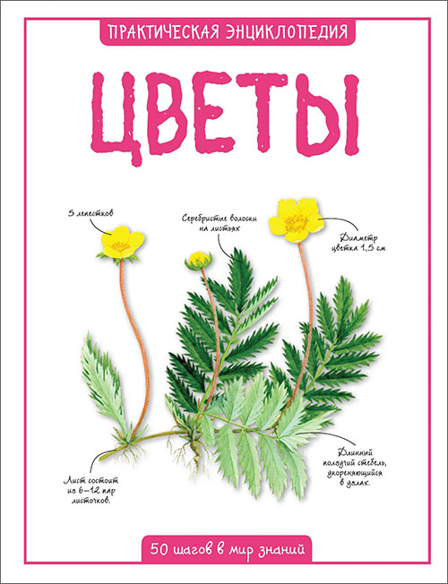 

Цветы. Практическая энциклопедия - Камилла де ла Бедуайер (978-5-389-14654-9)