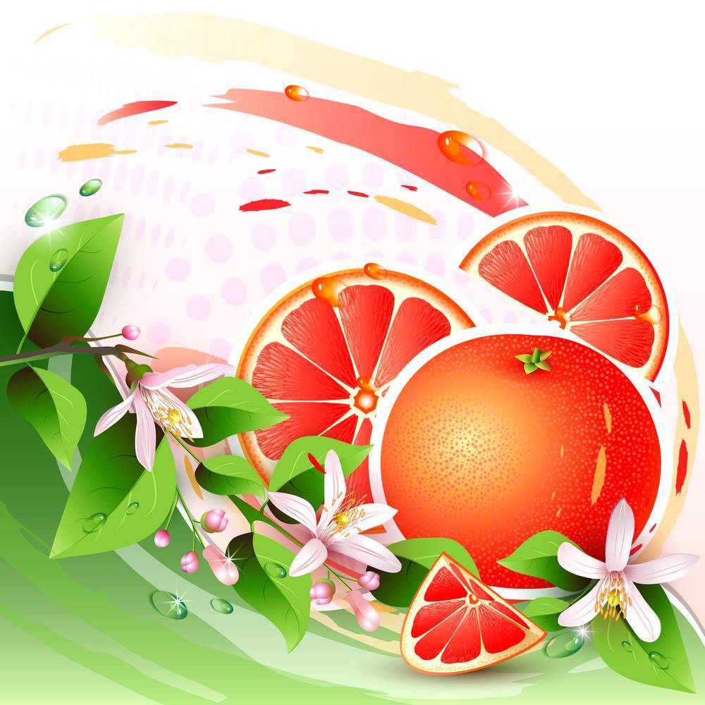 

Фотообои LaPrint Цитрусовые Живопись (10000775)