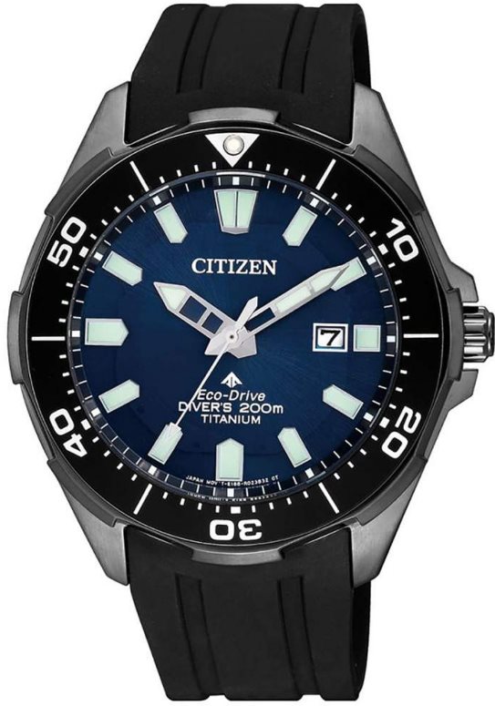 

Часы CITIZEN BN0205-10L
