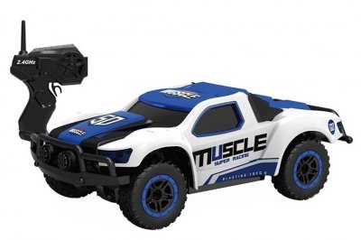 

Машинка на р/у HB Toys Muscle масштаб 1:43 полноприводная (SKL17-139559)