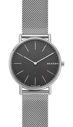 

Часы SKAGEN SKW6483