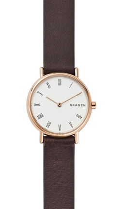 

Часы SKAGEN SKW2760