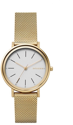 

Часы SKAGEN SKW2509