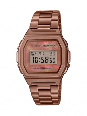 

Часы CASIO A1000RG-5EF