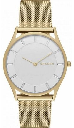 

Часы SKAGEN SKW2377