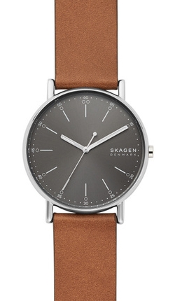 

Часы SKAGEN SKW6578