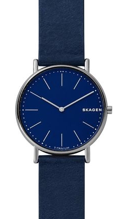 

Часы SKAGEN SKW6481