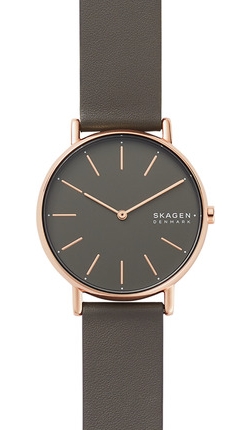 

Часы SKAGEN SKW2794