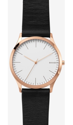 

Часы SKAGEN SKW1102