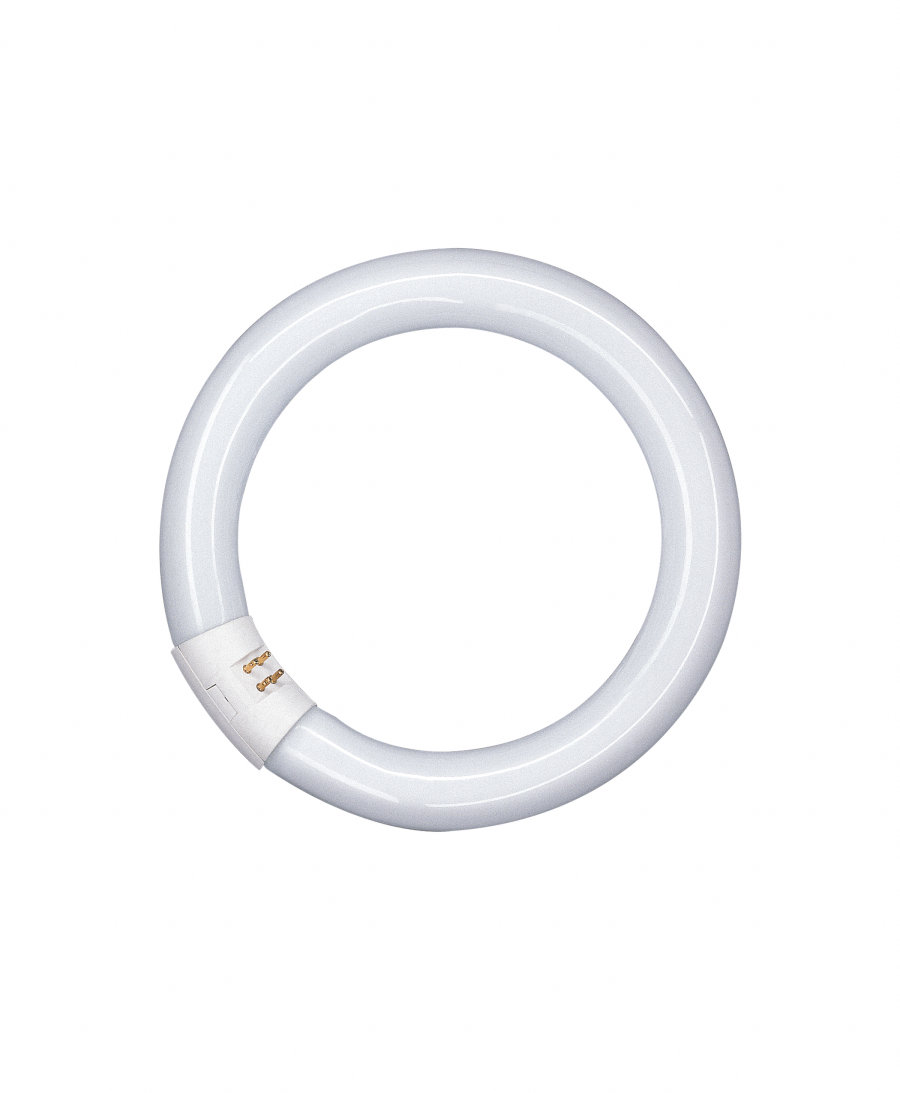 

Люминесцентная лампа OSRAM L22W/840 C G10q (диам. 216мм) кольцевая (4008321581082)