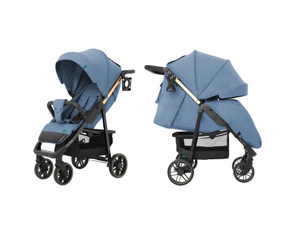 

Прогулочная коляска CARRELLO Echo CRL-8508/2 с дождевиком, Синяя