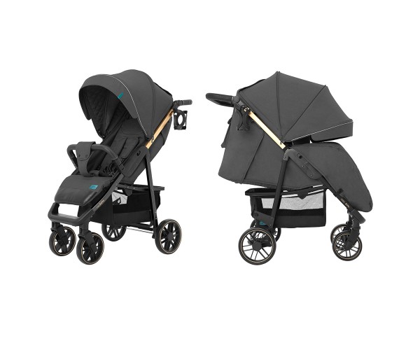 

Прогулочная коляска CARRELLO Echo CRL-8508/2 с дождевиком, Темно-серая