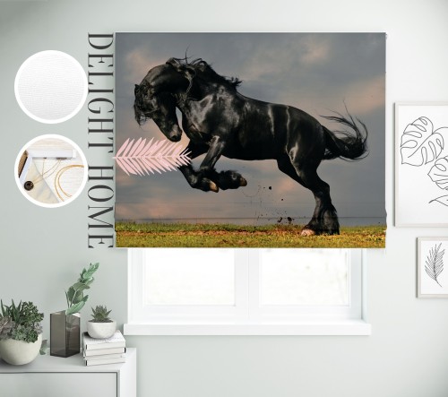 

Римская штора с фотопечатью 00-048 система Light I&H Блекаут Нова 120*170 см