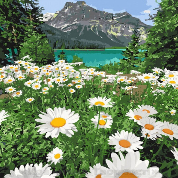 

Картина по номерам "Красота природы" 40*50см