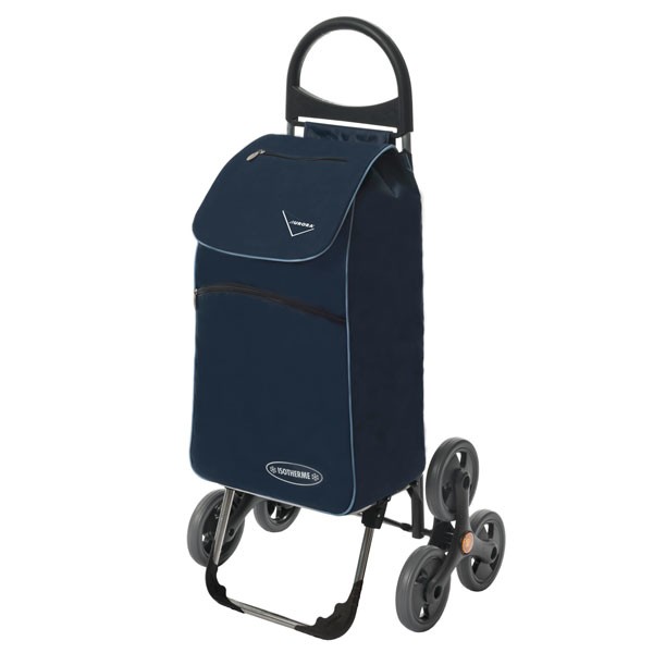 

Сумка Aurora Parigi 55 Blue (F00202938)