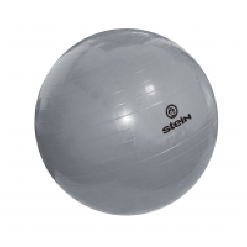 

Фитбол Stein 75 см, код: LGB-1502-75