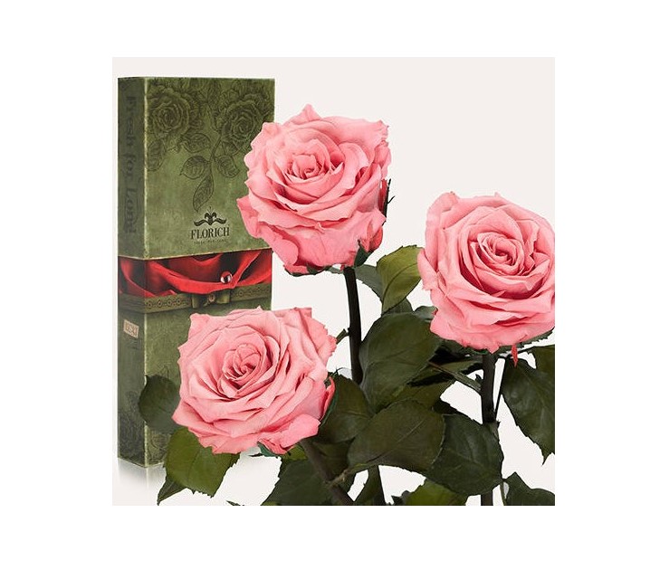 

розы 3шт долгосвежие в подарочной упаковке розовый кварц 5 карат (короткий стебель)