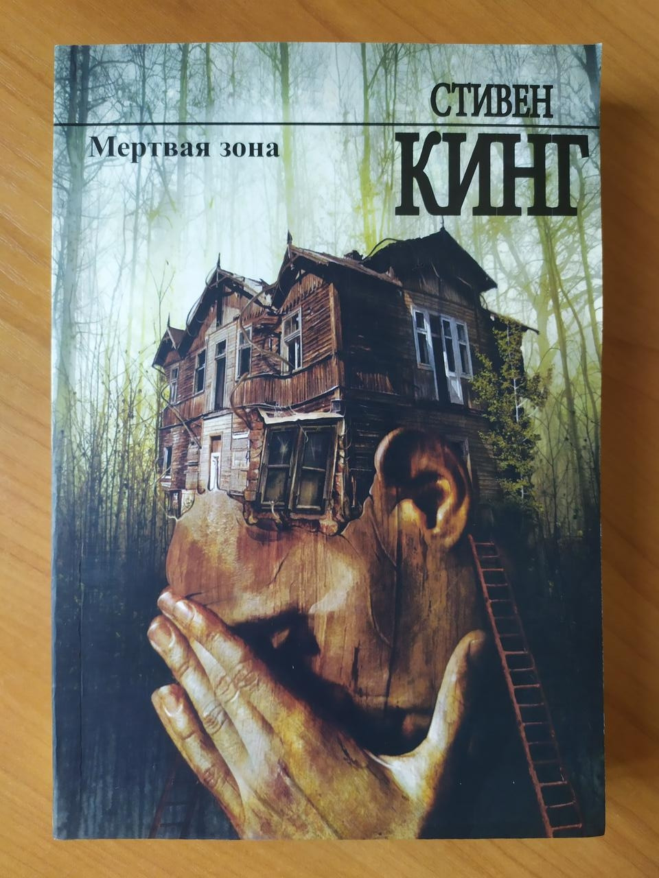 

Стивен Кинг. Мёртвая зона