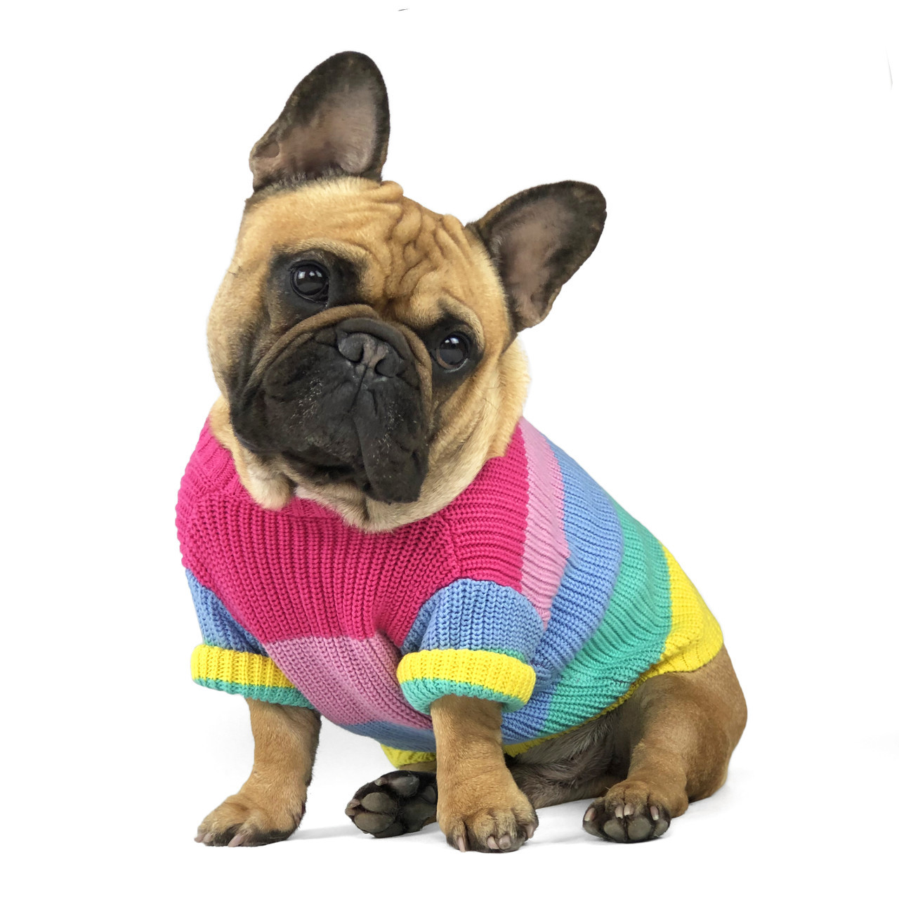 

Свитер для собак DogClub Rainbow Multicolor L