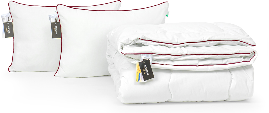 

Набор антиаллергенный MirSon 3M Thinsulatе Зима Deluxe Hand Made №3022 одеяло 200х220 + 2 подушки 50x70 средние