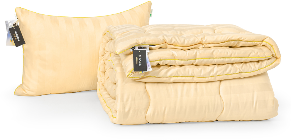 

Набор антиаллергенный MirSon 3M Thinsulatе Зима Carmela Hand Made №3061 одеяло 155х215 + подушка 50x70 средняя