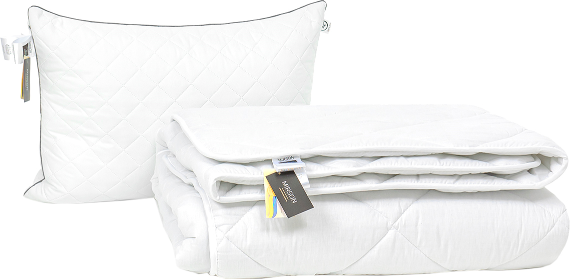 

Набор антиаллергенный MirSon Eco Silk Зима Bianco Silver №4035 одеяло 140х205 + подушка 50х70 средняя