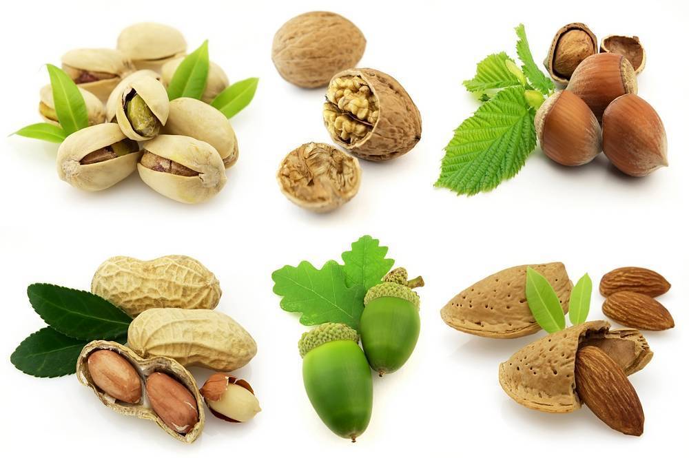 

Картина на холсте LaPrint Орехи 120х80 см