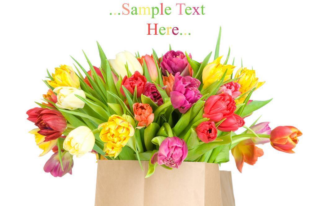 

Картина на холсте LaPrint Тюльпаны 120х80 см