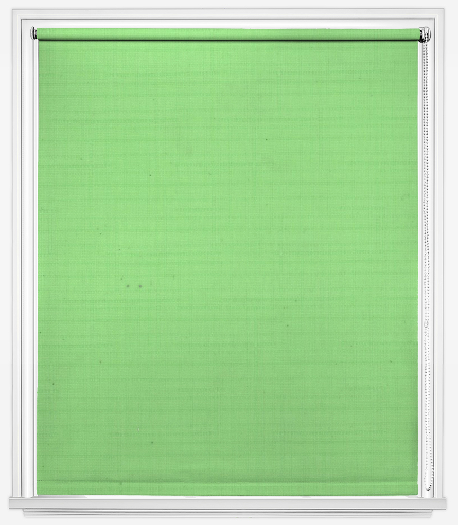 

Тканевые ролеты JST Roller Shades 003 100*170 см мятный