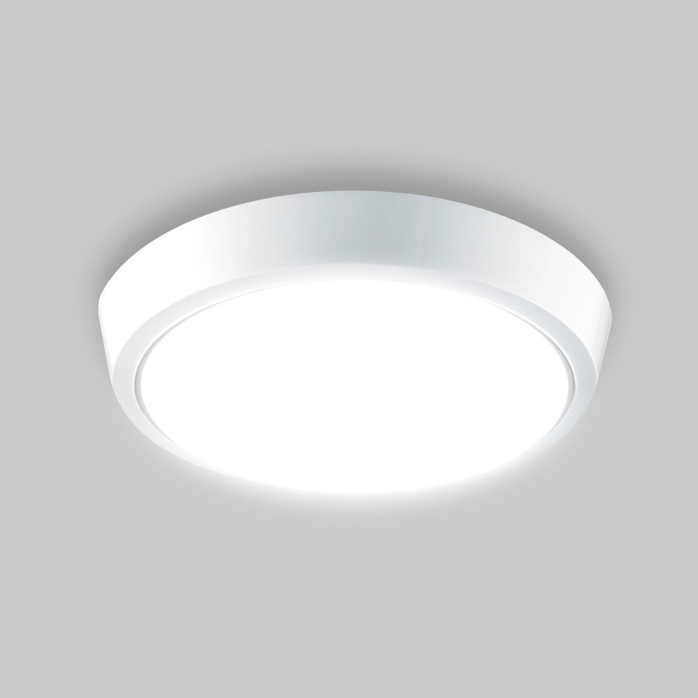 

Настенно-потолочный светодиодный светильник LUMINARIA DLR 25W 220V IP20 5500K