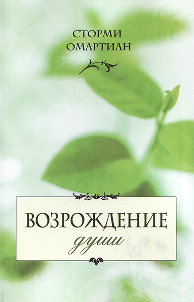 

Возрождение души. Сторми Омартиан