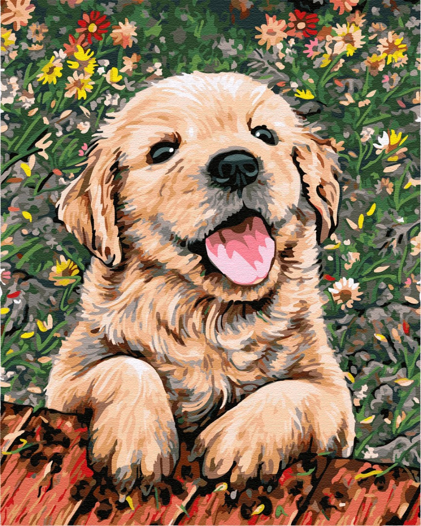 

Картина по номерам 40×50 см. Brushme Радостная собачка (GX 5607)