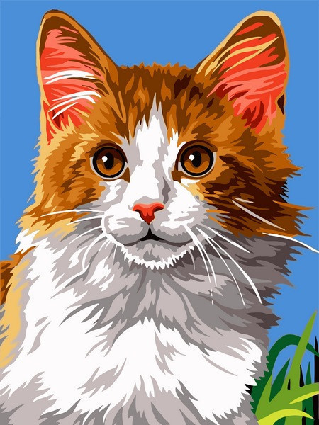 

Картина по номерам 30×40 см. Babylon Домашний кот (VK 238)