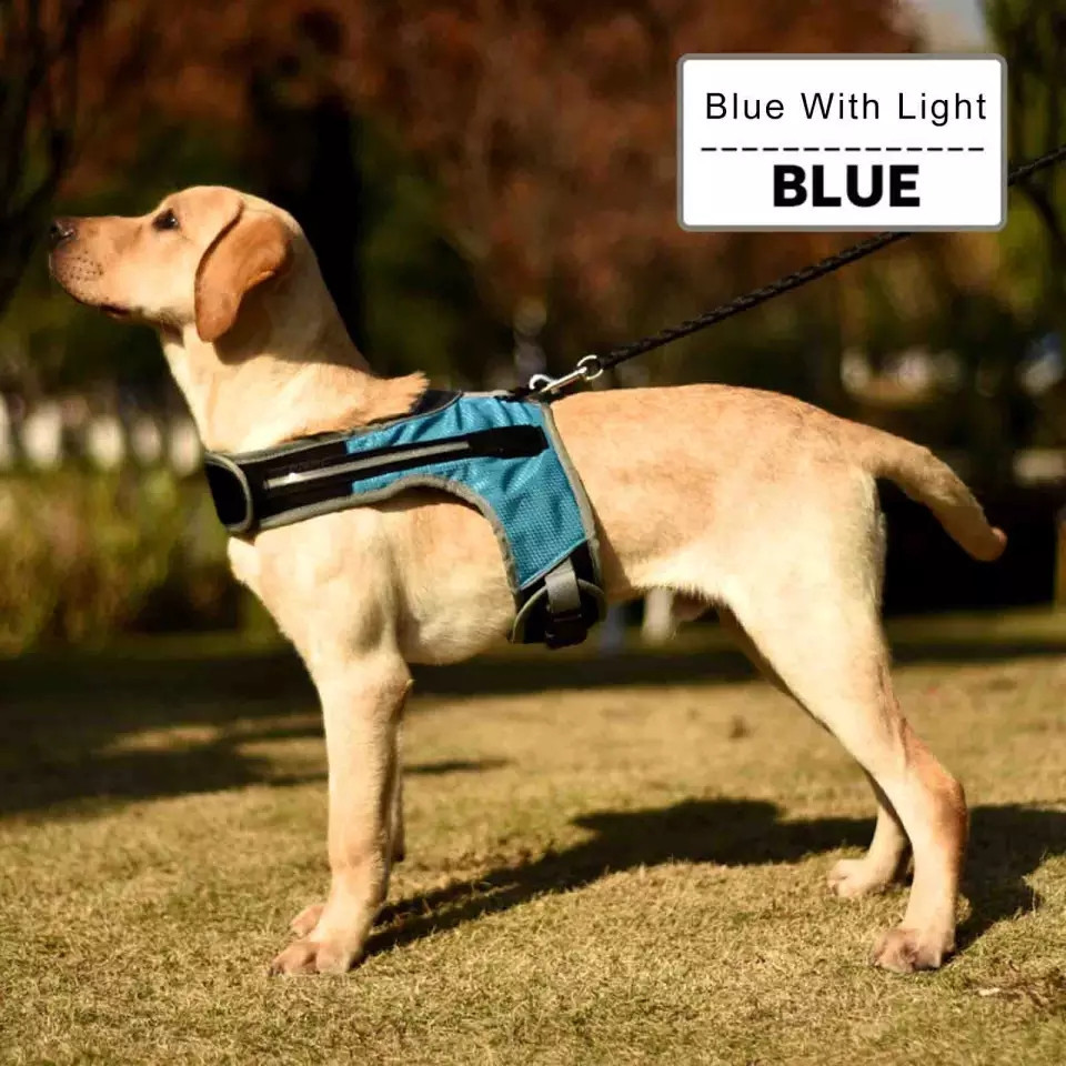 

Шлея с подсветкой для собак DogClub Blue L (Г58-72 / Ш45-57)