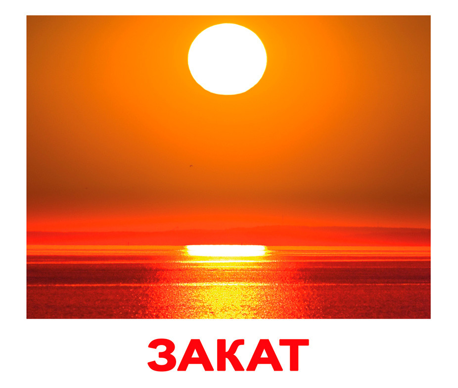 

Большие карточки с фактами /рус.-укр./ "Природа" (ламинированные) (094453/091568)