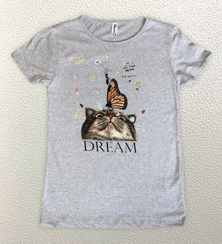 

Жіноча Футболка HAZARD КІТ DREAM сіра 2192 (M (46))